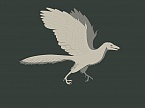 Archaeopteryx