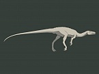Compsognathus