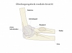 Ellenbogengelenk medial