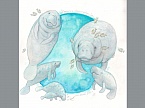 Skizze Manatee